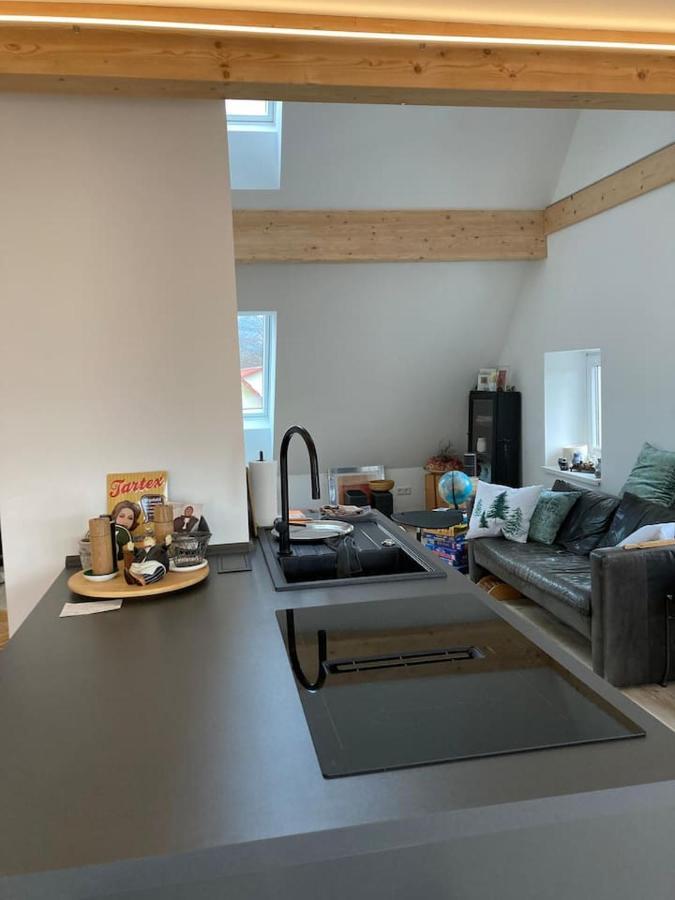 Neues Penthouse-Loft Mit Konuskarte Fuer Gratis Oepnv Apartment Ehrenkirchen Bagian luar foto