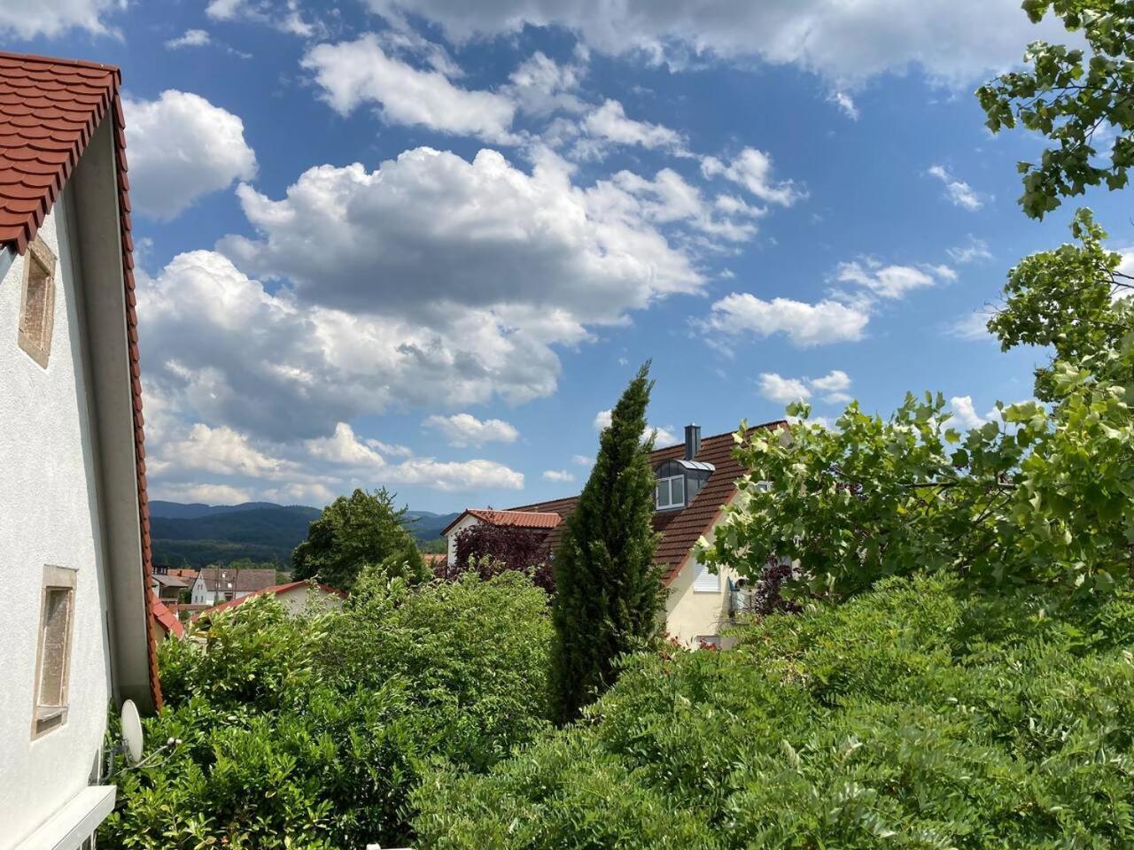 Neues Penthouse-Loft Mit Konuskarte Fuer Gratis Oepnv Apartment Ehrenkirchen Bagian luar foto