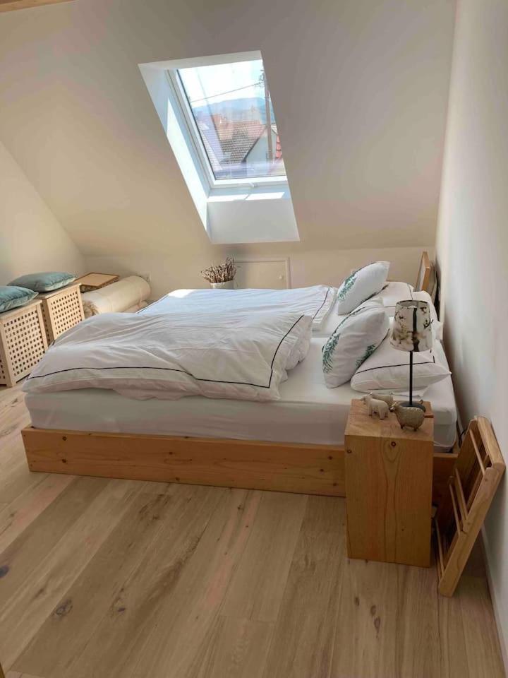 Neues Penthouse-Loft Mit Konuskarte Fuer Gratis Oepnv Apartment Ehrenkirchen Bagian luar foto